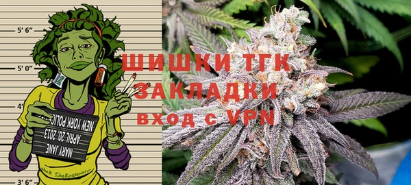 ГАЛЛЮЦИНОГЕННЫЕ ГРИБЫ Богданович